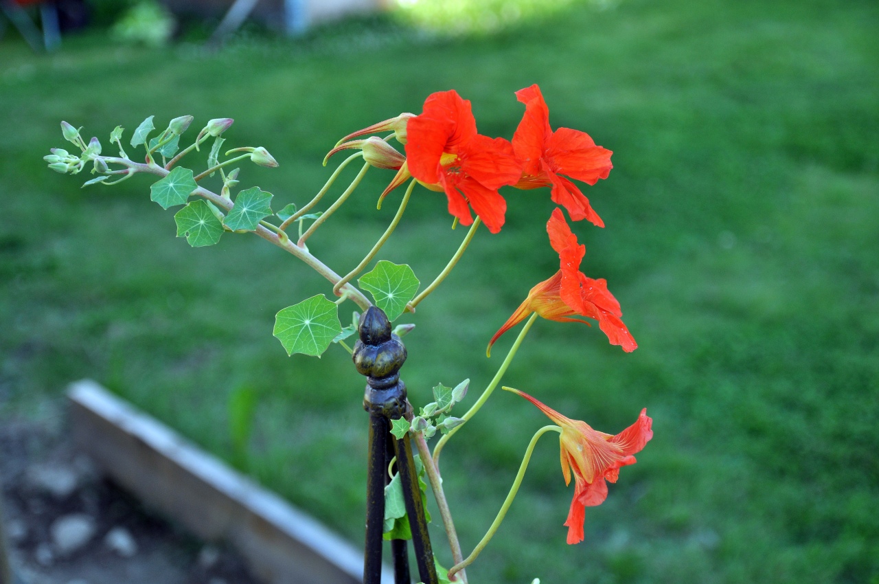 20100803-0083